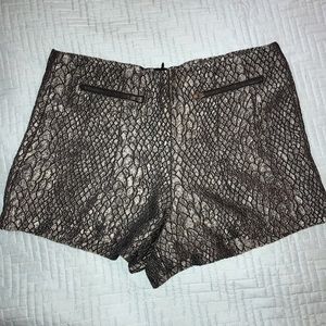 Snake skin booty shorts